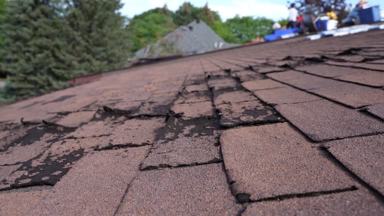 Best Steel Roofing  in Russellville, KY