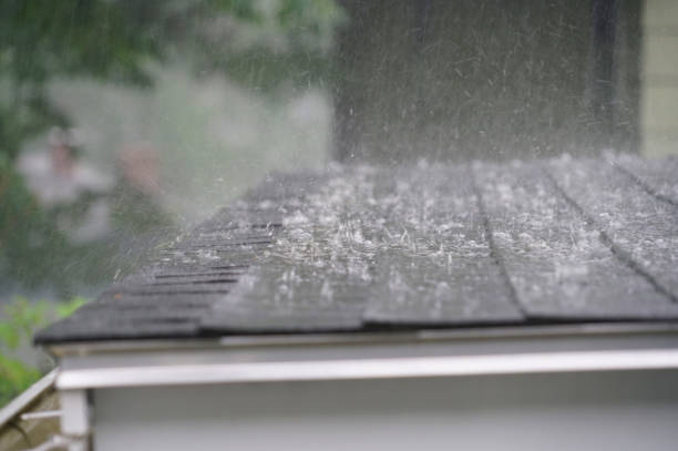 Best Roof Insulation Installation  in Russellville, KY